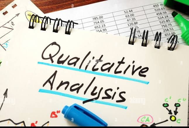 qualitative data analysis